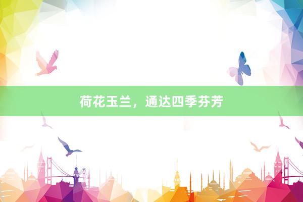 荷花玉兰，通达四季芬芳